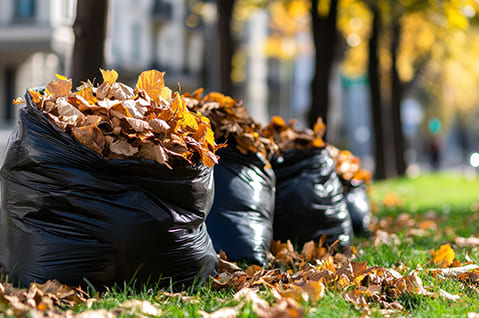 Spring Cleanup Service in Pepper Pike, OH