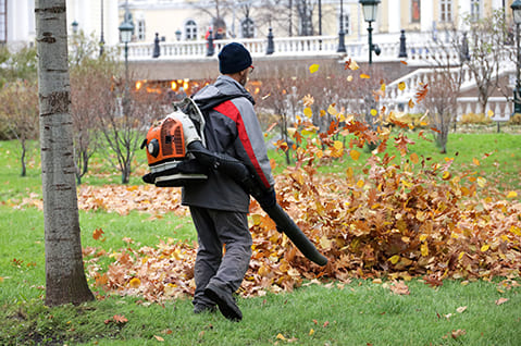 Leaf Removal Service in Pepper Pike, OH