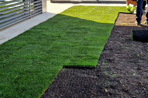 Sod Installation Services in Pepper Pike, OH