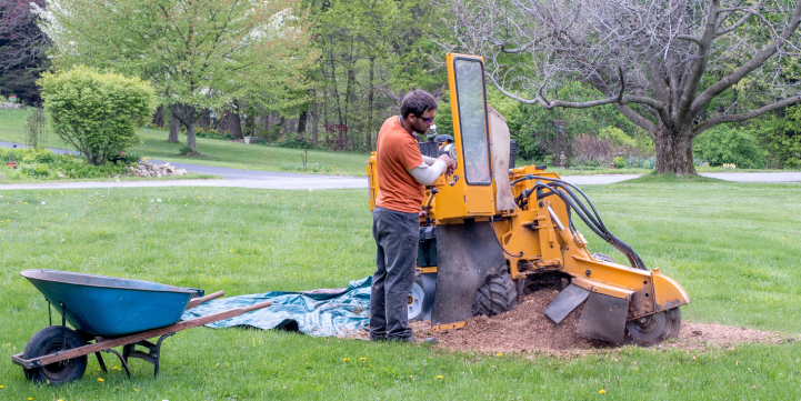Stump Grinding in Pepper Pike OH