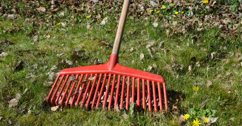 trusted spring cleanup contractor in pepper pike