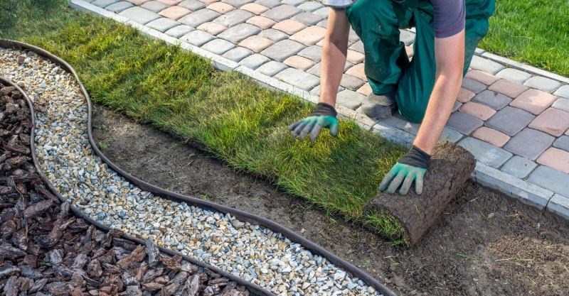 sod vs seed vs hydroseeding in northeast ohio